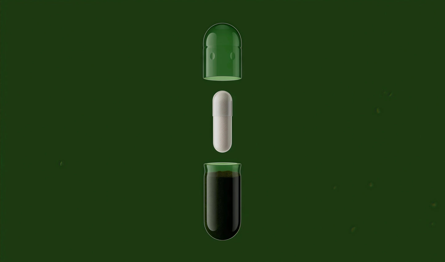 Daily Synbiotic