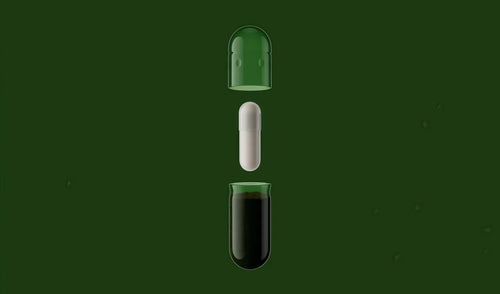 Daily Synbiotic